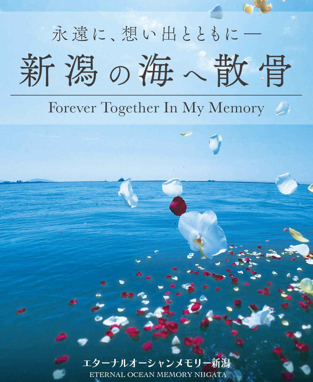 新潟直葬サービス|海洋散骨|ブルーオーシャンセレモニー新潟